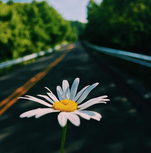 Meet your Posher, Ciara